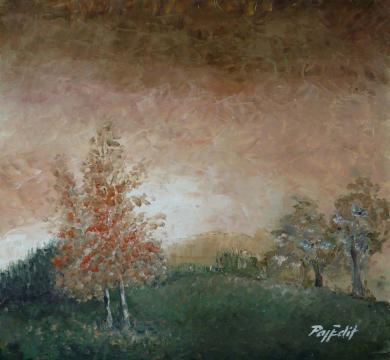 20091226 reggeli para 48x51.jpg